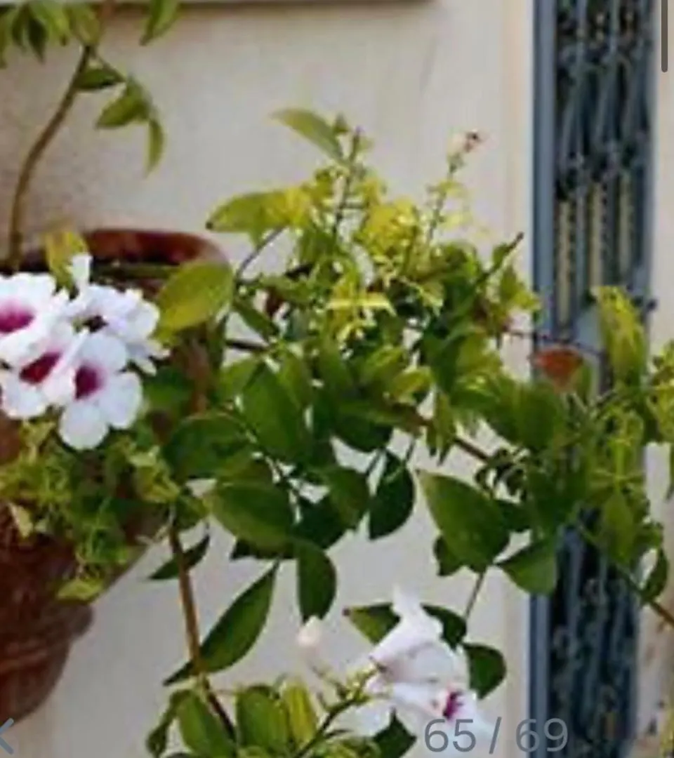 Nocleg ze śniadaniem B&B Ares Charme Syrakuzy
